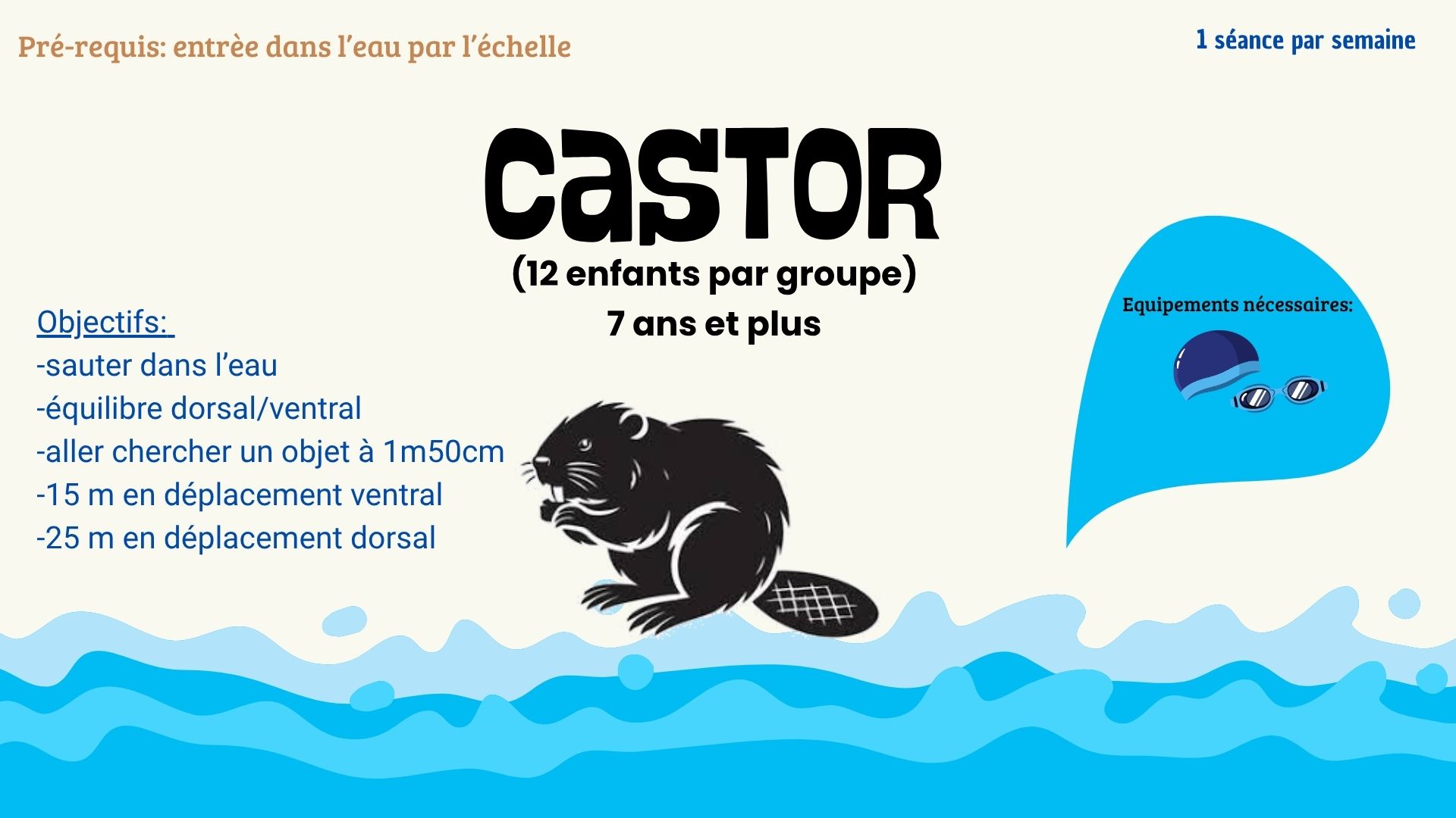 Groupe Castor