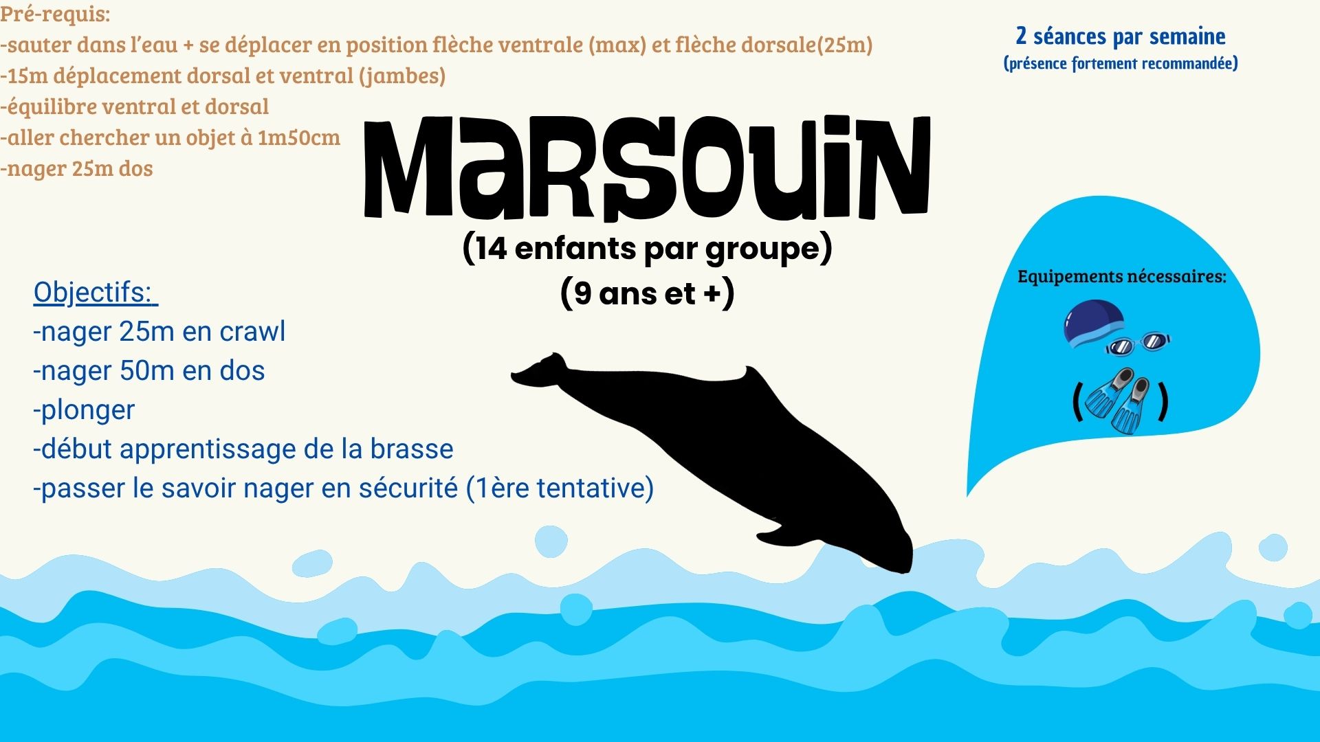 Groupe Marsouin