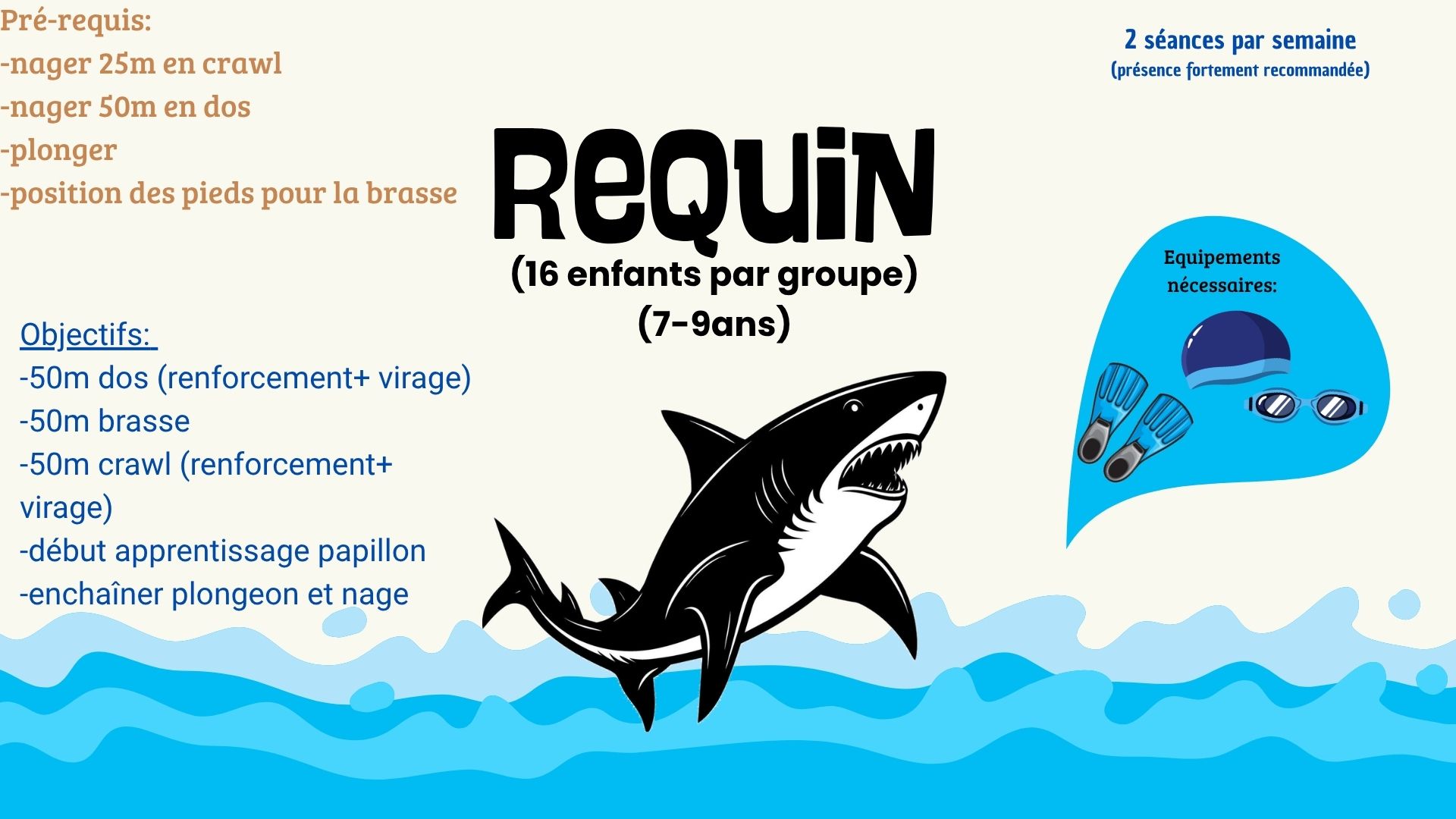 Groupe Requin